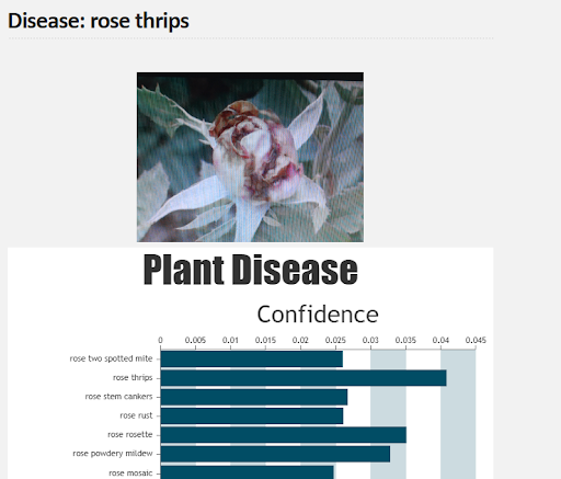 rose thrips test